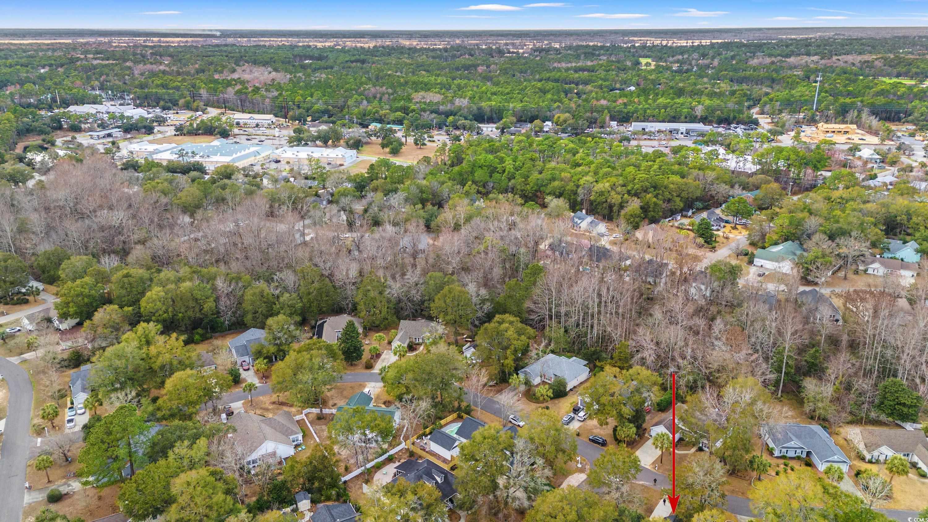 177 Reef Run Road Pawleys Island, SC 29585 - Photo 39 of 40 Aerial view with a wooded view and a residential v