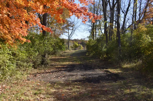 $295,000 | 6255 Maple Dale Road, Jackson, MI 49201