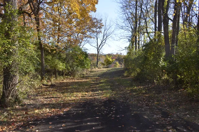 $295,000 | 6255 Maple Dale Road, Jackson, MI 49201