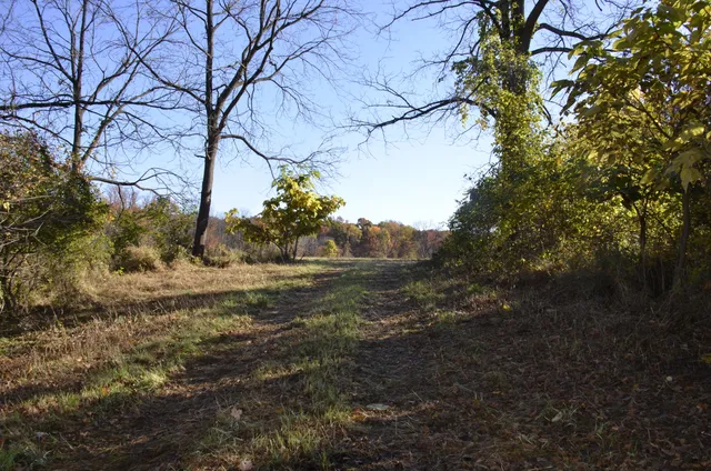 $295,000 | 6255 Maple Dale Road, Jackson, MI 49201