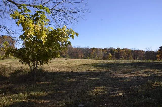 $295,000 | 6255 Maple Dale Road, Jackson, MI 49201