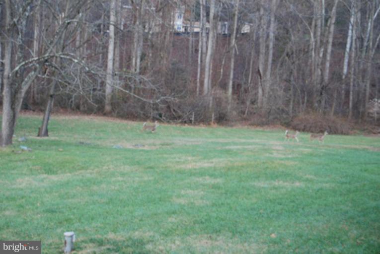 1455 Beulah Road Vienna, VA 22182 - Photo 22 of 30 Back yard