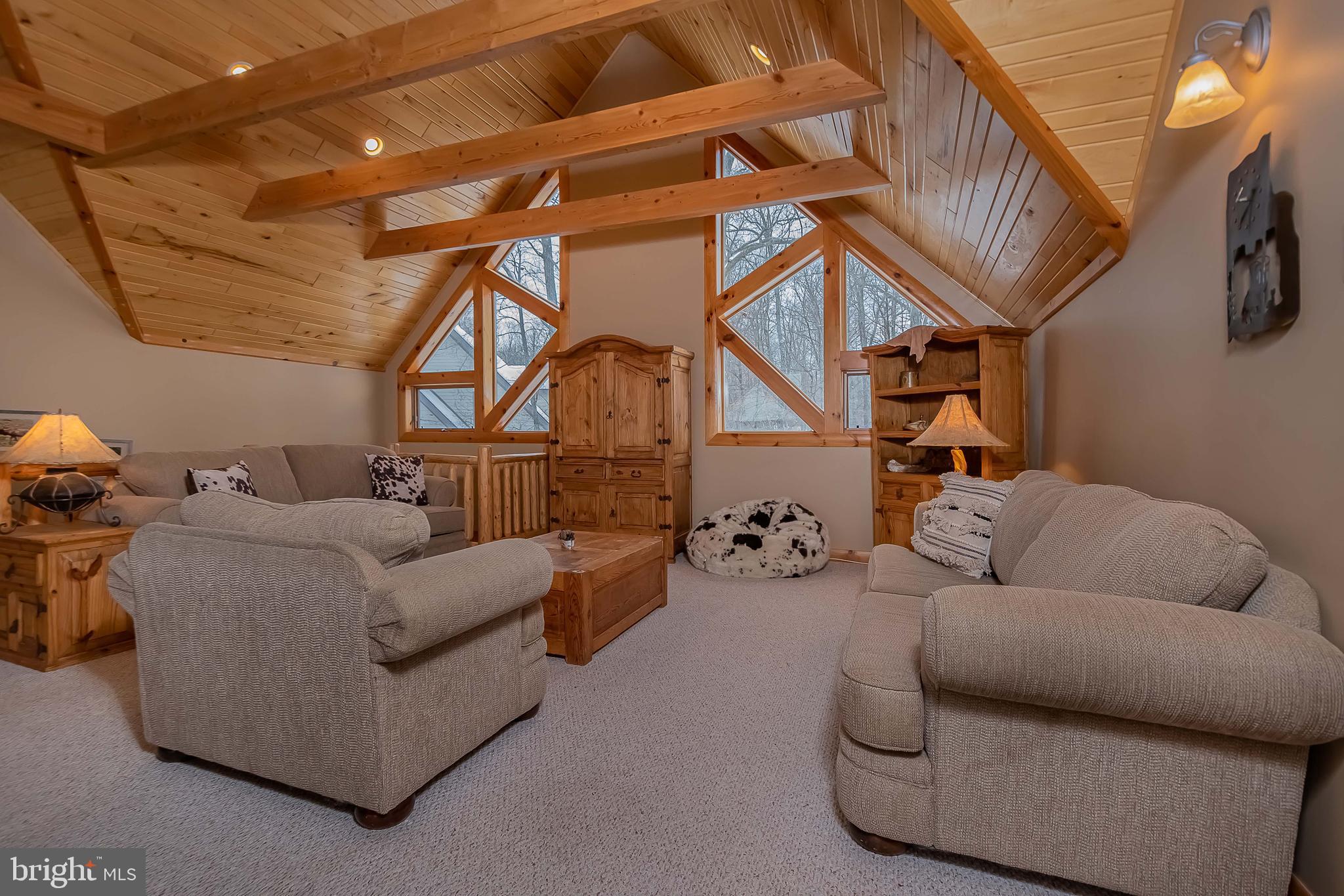 642 Deep Creek Highlands Road McHenry, MD 21541 - Photo 32 of 59 a living room with furniture a ceiling fan and a rug