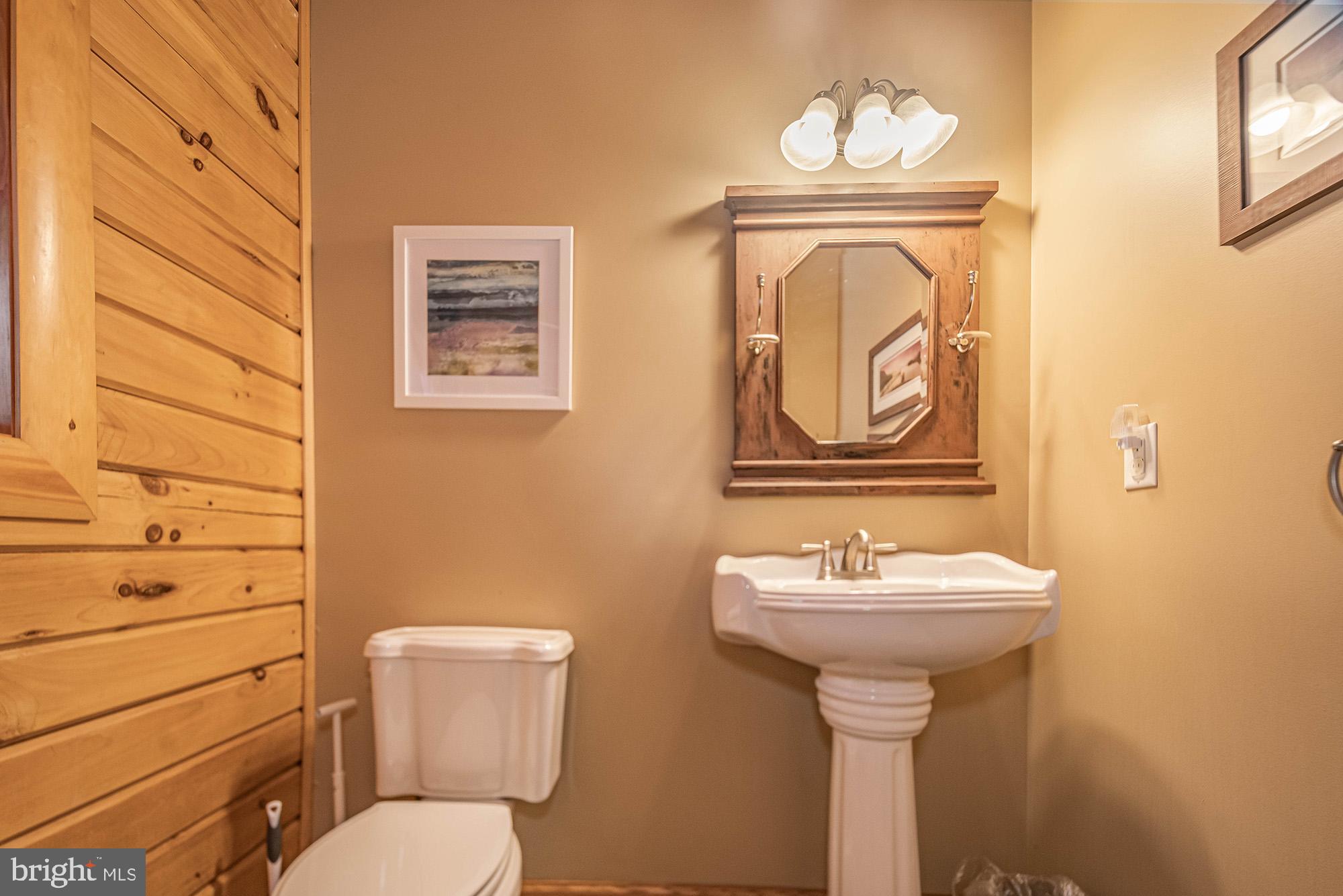 642 Deep Creek Highlands Road McHenry, MD 21541 - Photo 37 of 59