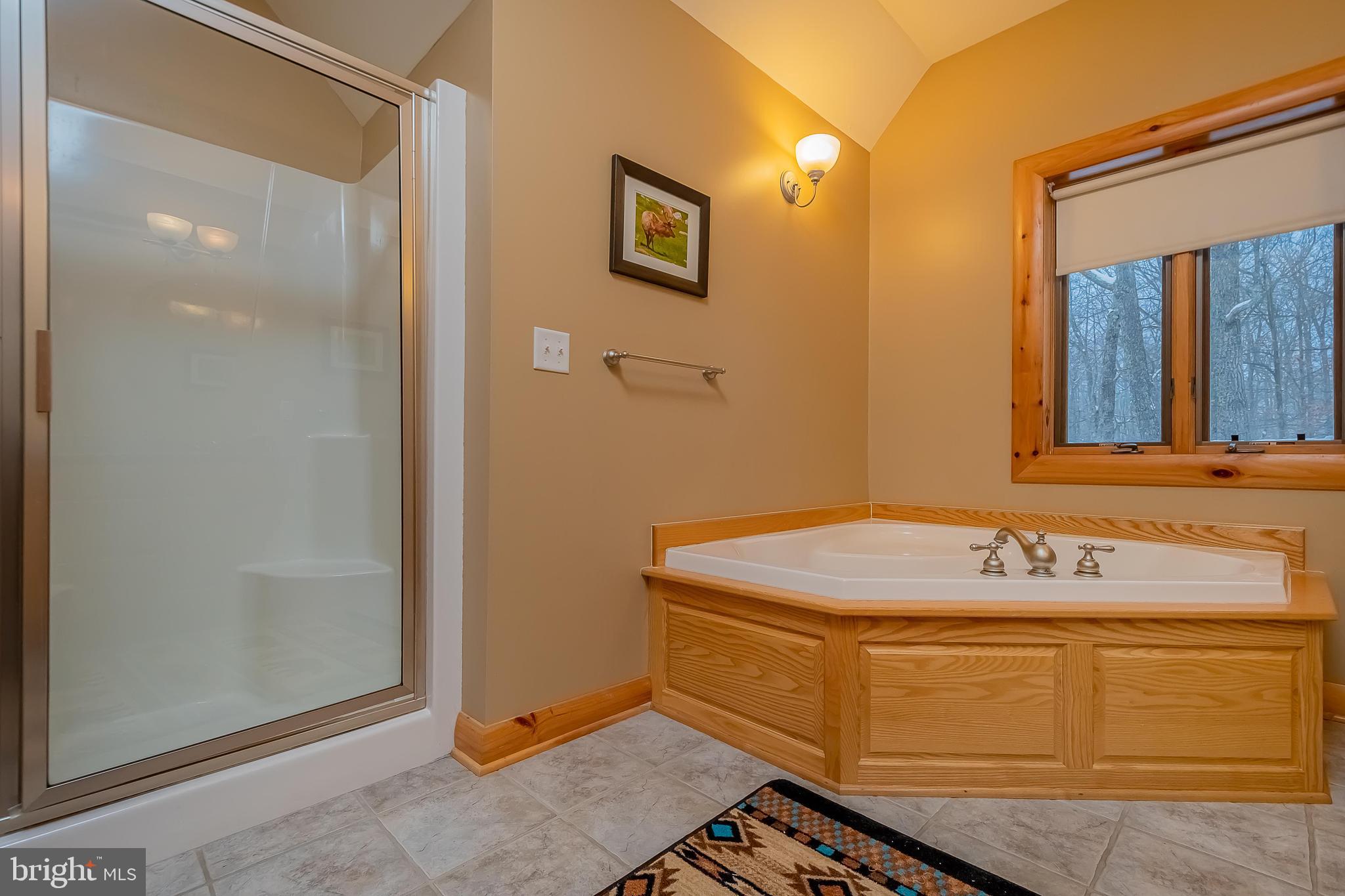 642 Deep Creek Highlands Road McHenry, MD 21541 - Photo 39 of 59