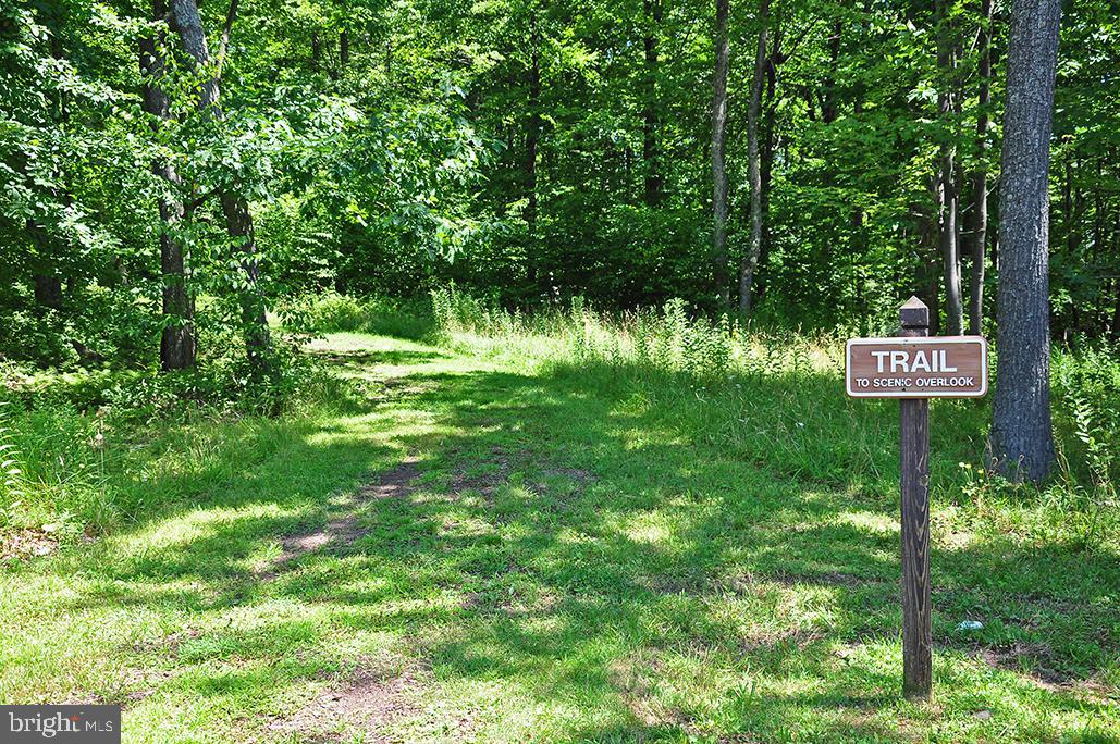 642 Deep Creek Highlands Road McHenry, MD 21541 - Photo 53 of 59 a blue sign that is sitting in the middle of a forest