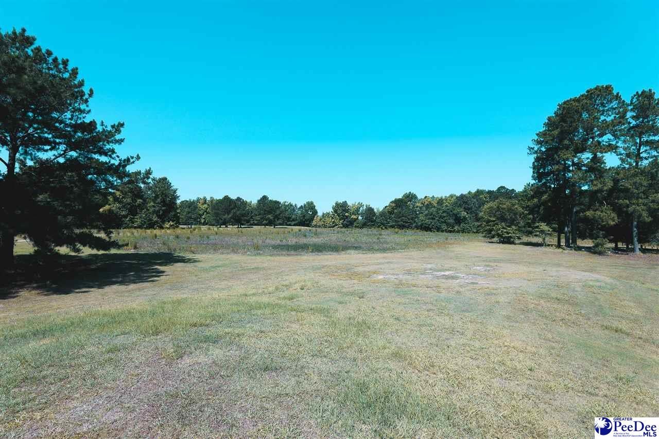 72-acres Claussen Road Florence, SC 29505 - Photo 6 of 8 Gallery Image 6