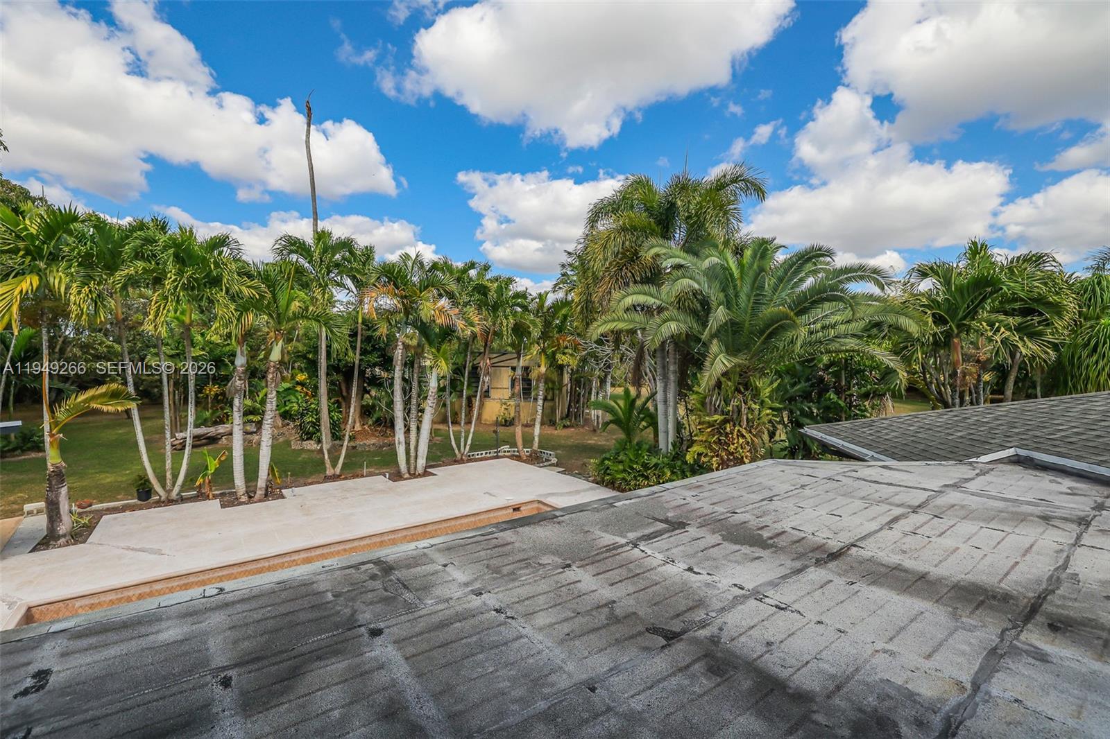 18975 Southwest 224th Street Miami, FL 33170 - Photo 22 of 97 a row of palm trees and a yard with wooden fence