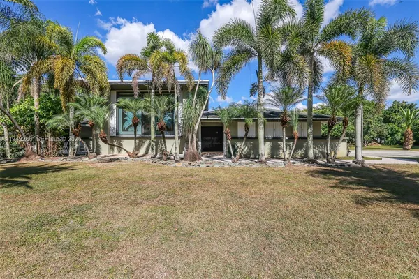 a view of a yard with plants and trees beside of it