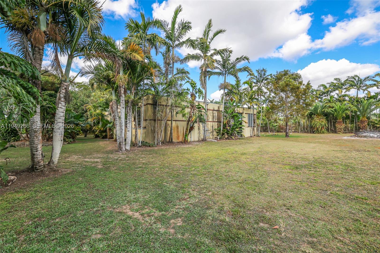 18975 Southwest 224th Street Miami, FL 33170 - Photo 76 of 97 a view of a yard with a tree
