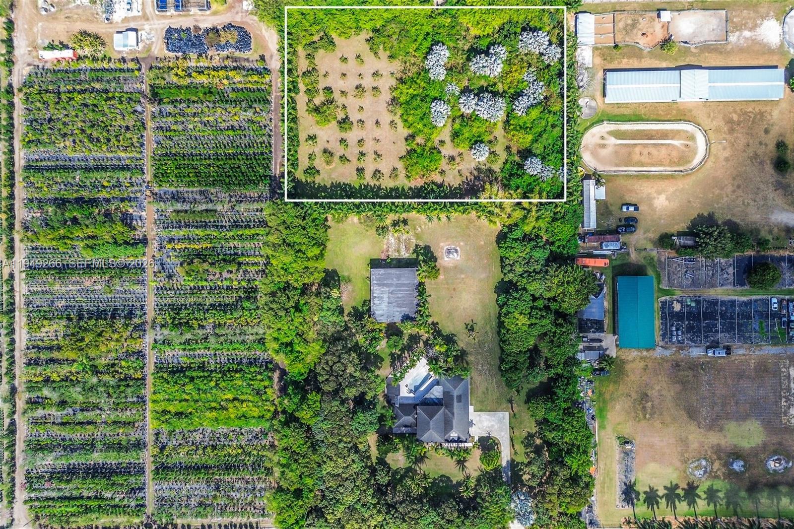 18975 Southwest 224th Street Miami, FL 33170 - Photo 85 of 97 Avocado grove