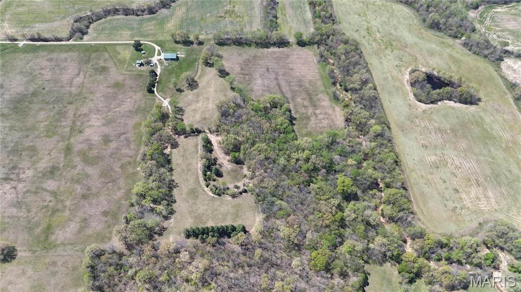 12503 County Road 292 Bloomfield, MO 63825 - Photo 29 of 74