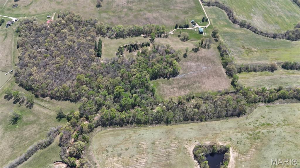 12503 County Road 292 Bloomfield, MO 63825 - Photo 30 of 74