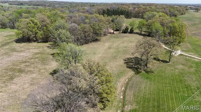 $699,000 | 12503 County Road 292, Bloomfield, MO 63825