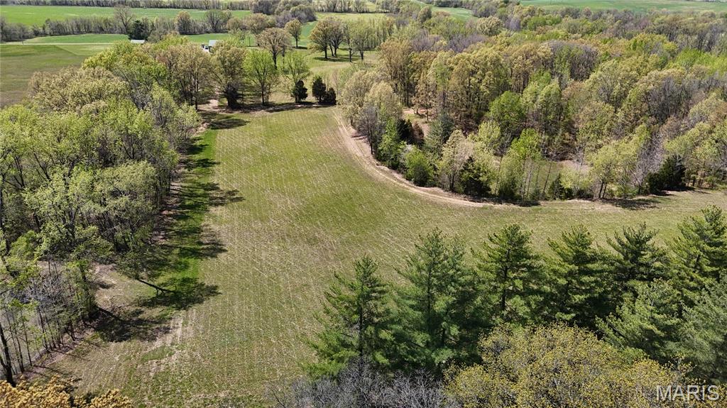 12503 County Road 292 Bloomfield, MO 63825 - Photo 36 of 74