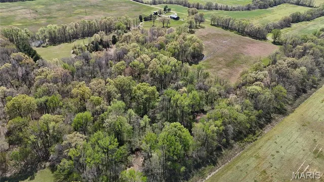 $699,000 | 12503 County Road 292, Bloomfield, MO 63825