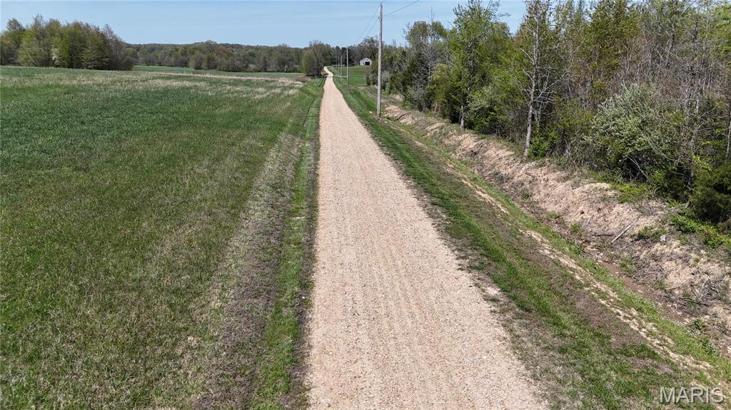 12503 County Road 292 Bloomfield, MO 63825 - Photo 10 of 74