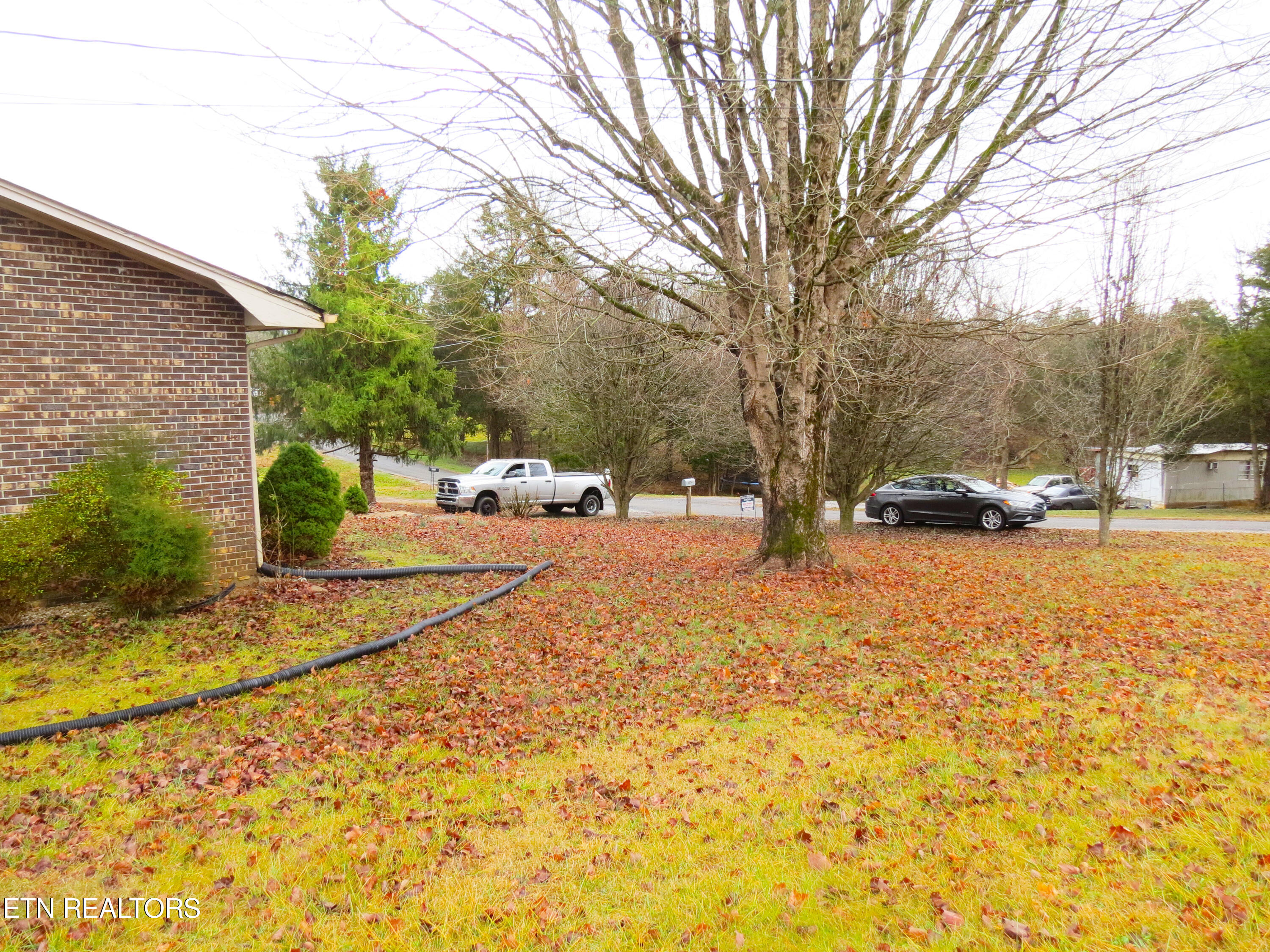 1376 Kingswood Road Talbott, TN 37877 - Photo 8 of 19 kings5
