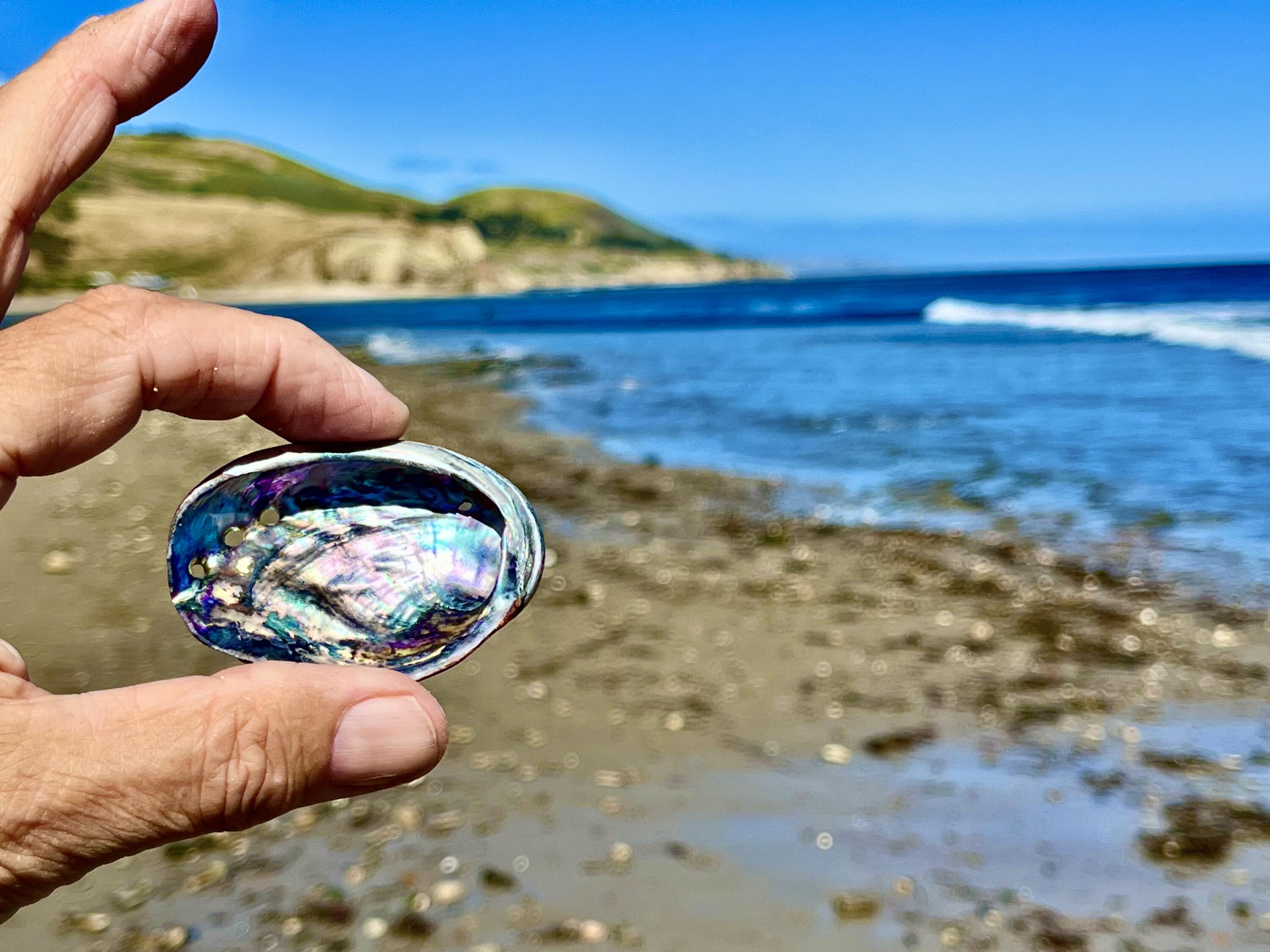 22 Hollister Ranch Road Lompoc, CA 93436 - Photo 13 of 18 IMG_6139