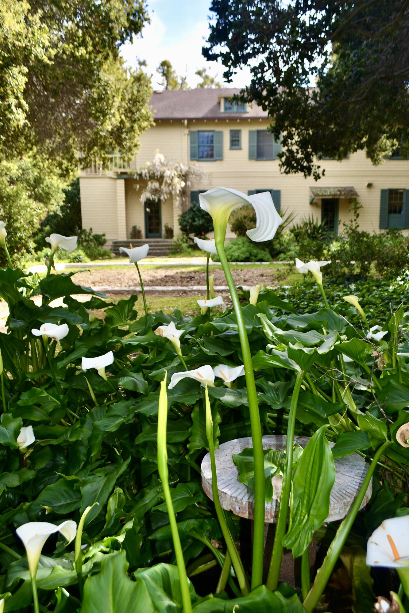 22 Hollister Ranch Road Lompoc, CA 93436 - Photo 15 of 18 DSC_0750
