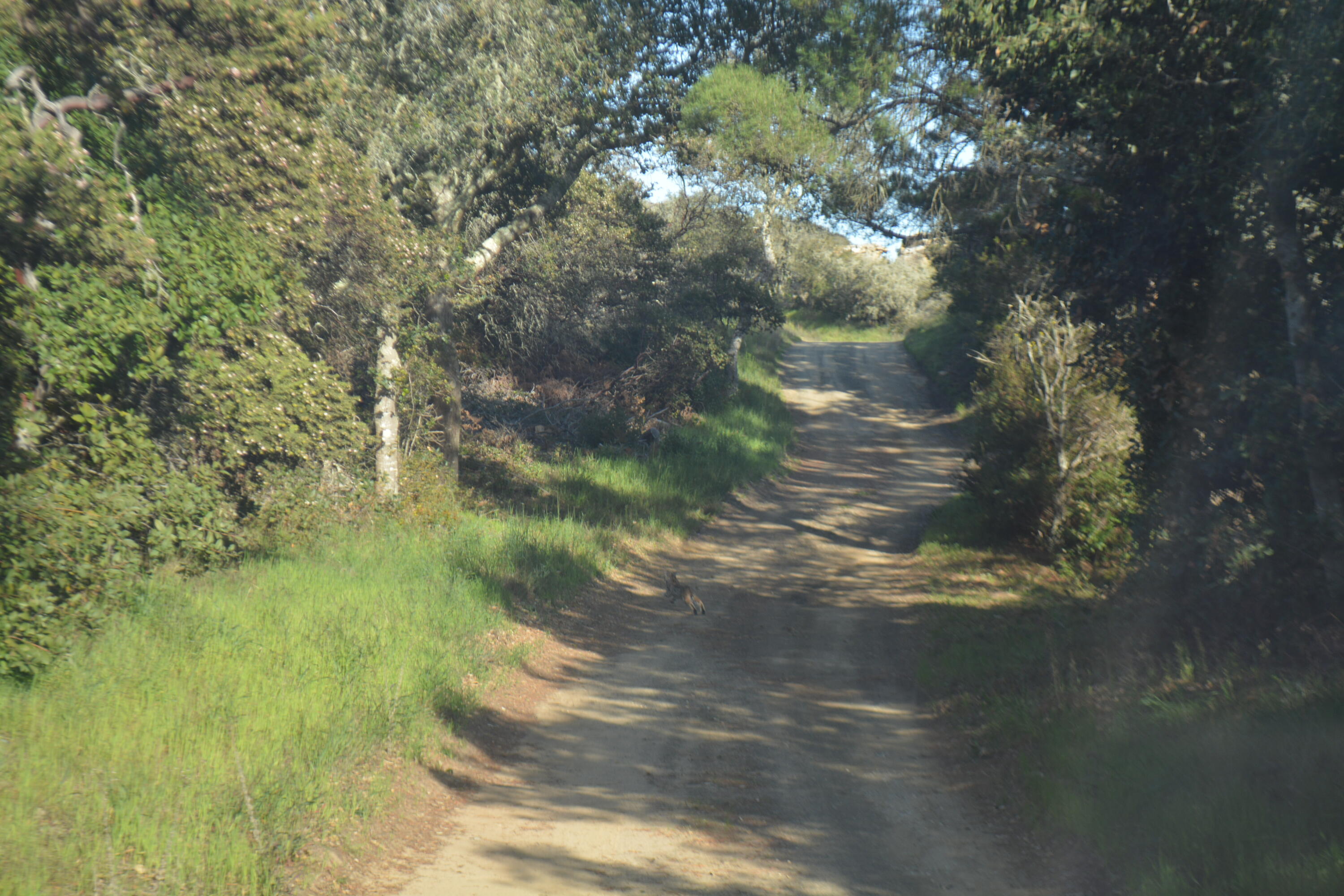 22 Hollister Ranch Road Lompoc, CA 93436 - Photo 7 of 18 DSC_0305