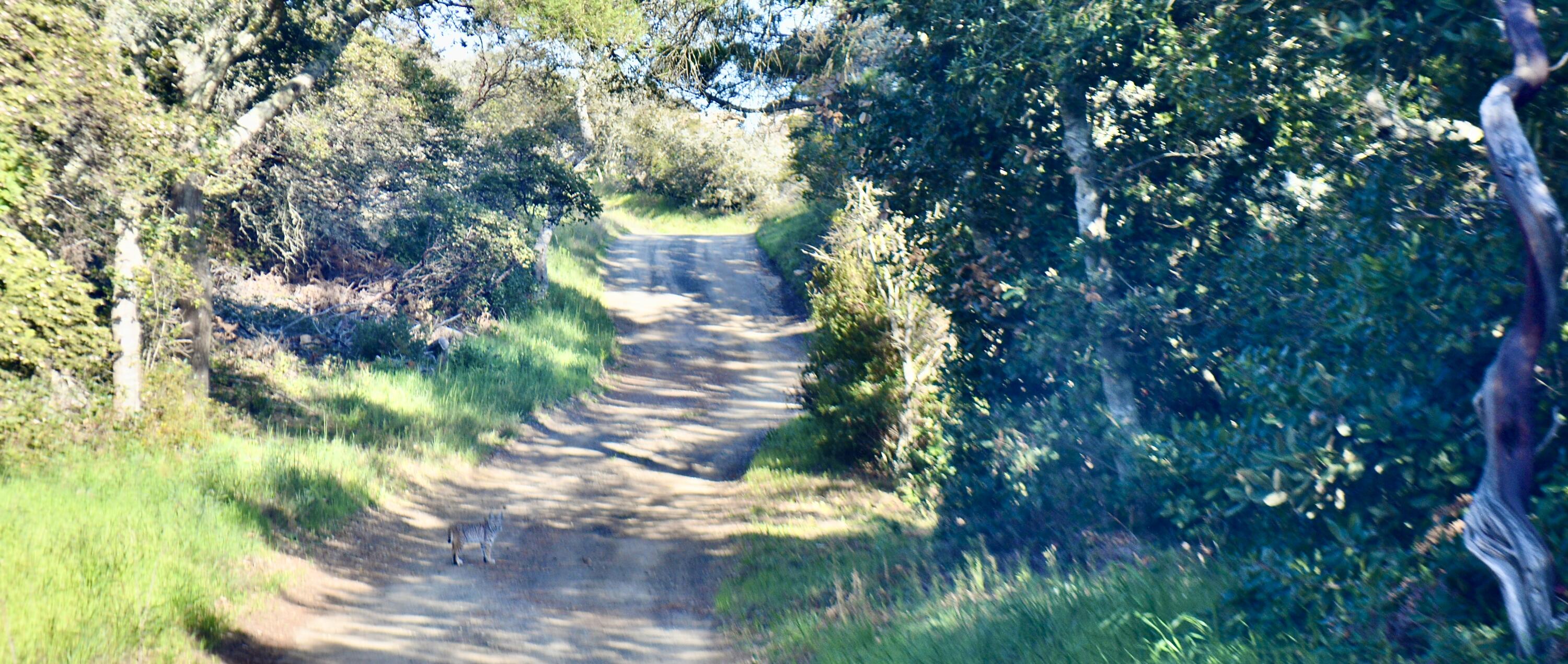 22 Hollister Ranch Road Lompoc, CA 93436 - Photo 8 of 18 DSC_0304