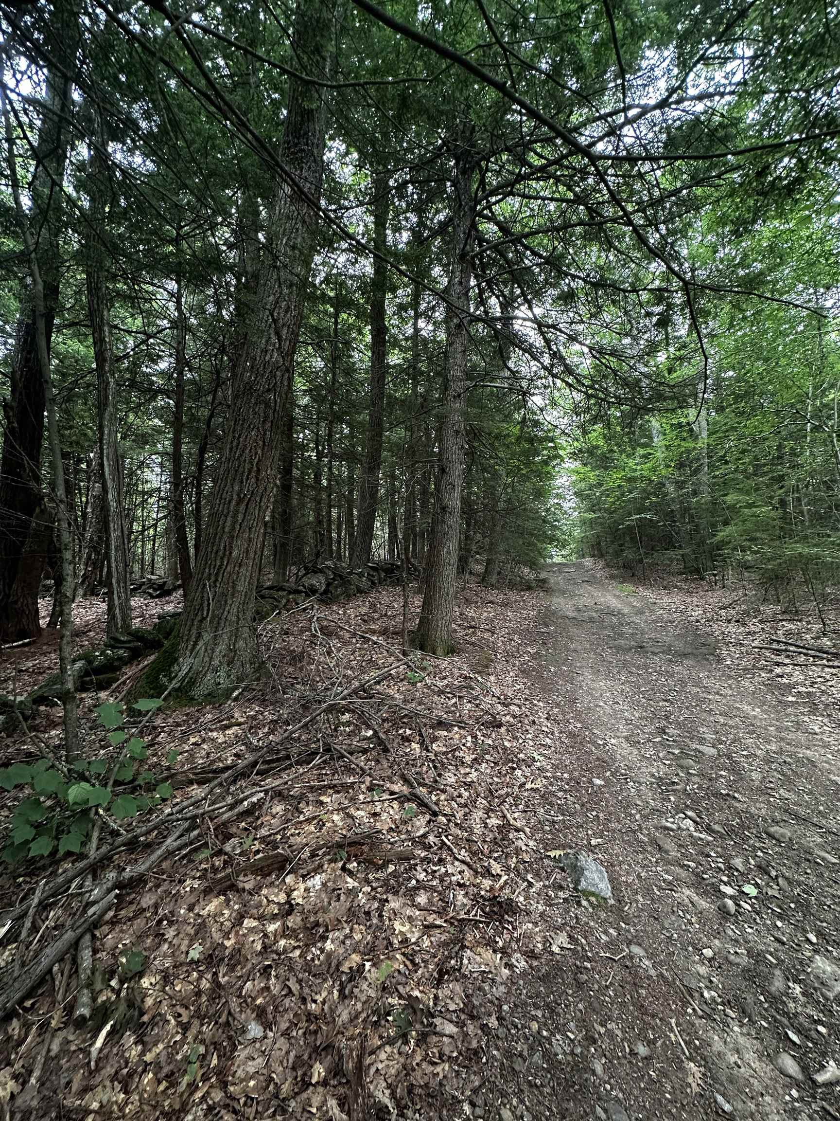 877 North Barnstead Road Barnstead, NH 03225 - Photo 11 of 12