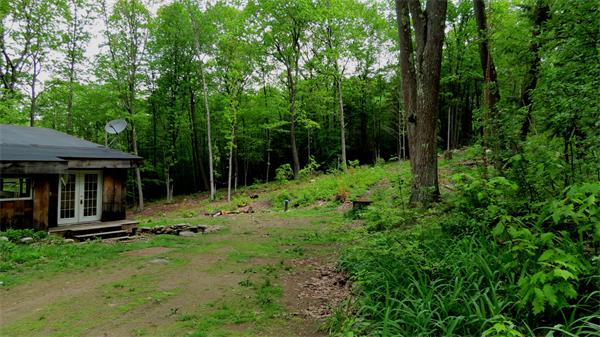 346 Farley Road Wendell, MA 01379 - Photo 3 of 13 Gallery Image 3