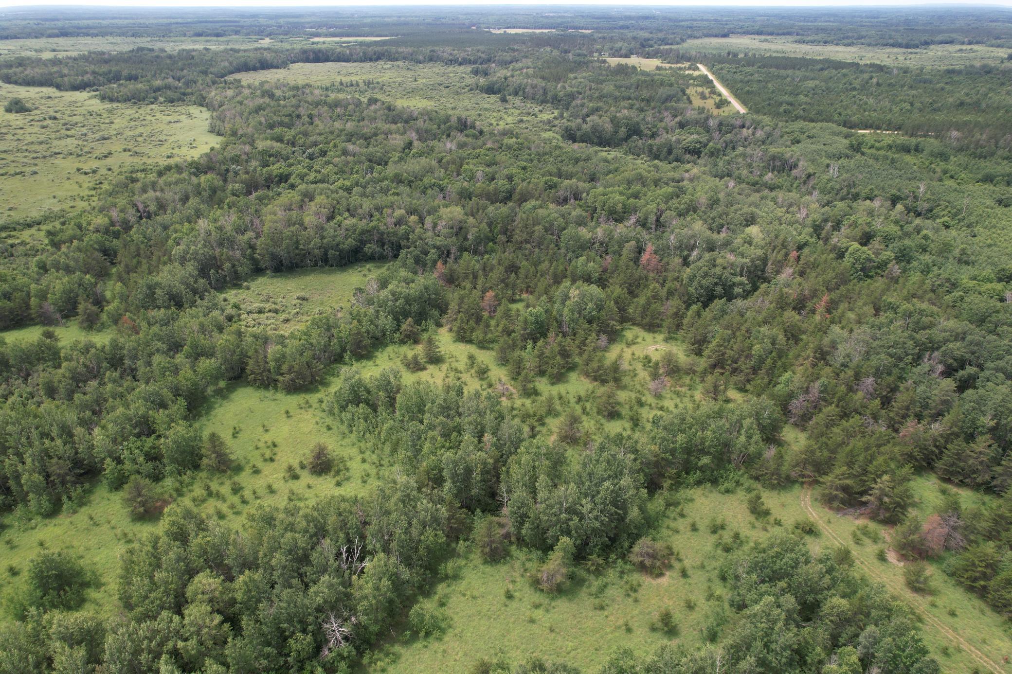 Tbd 350th Street Sebeka, MN 56477 - Photo 25 of 100
