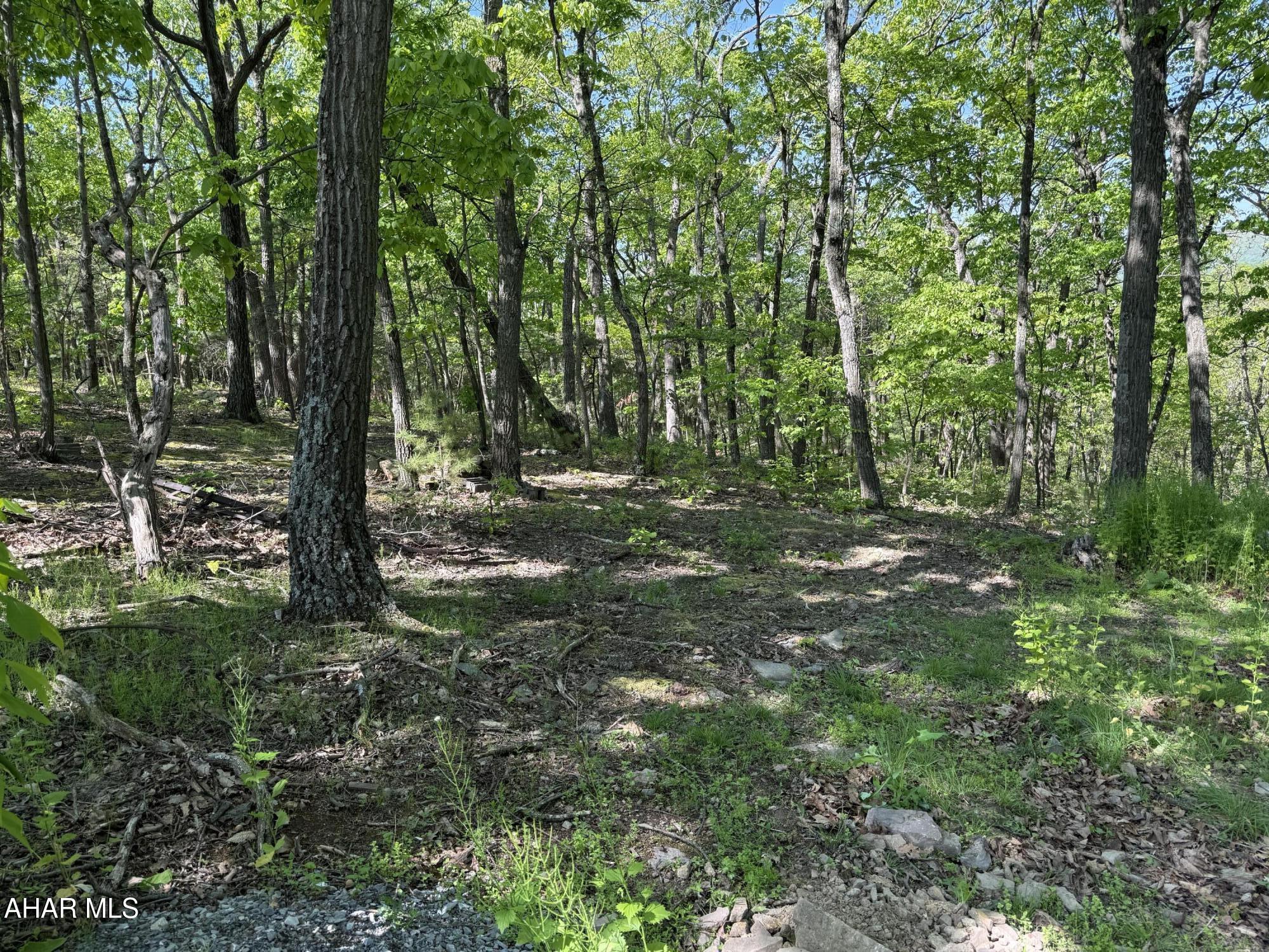 473 Calhoun Road Everett, PA 15537 - Photo 42 of 45 a view of outdoor space and green space