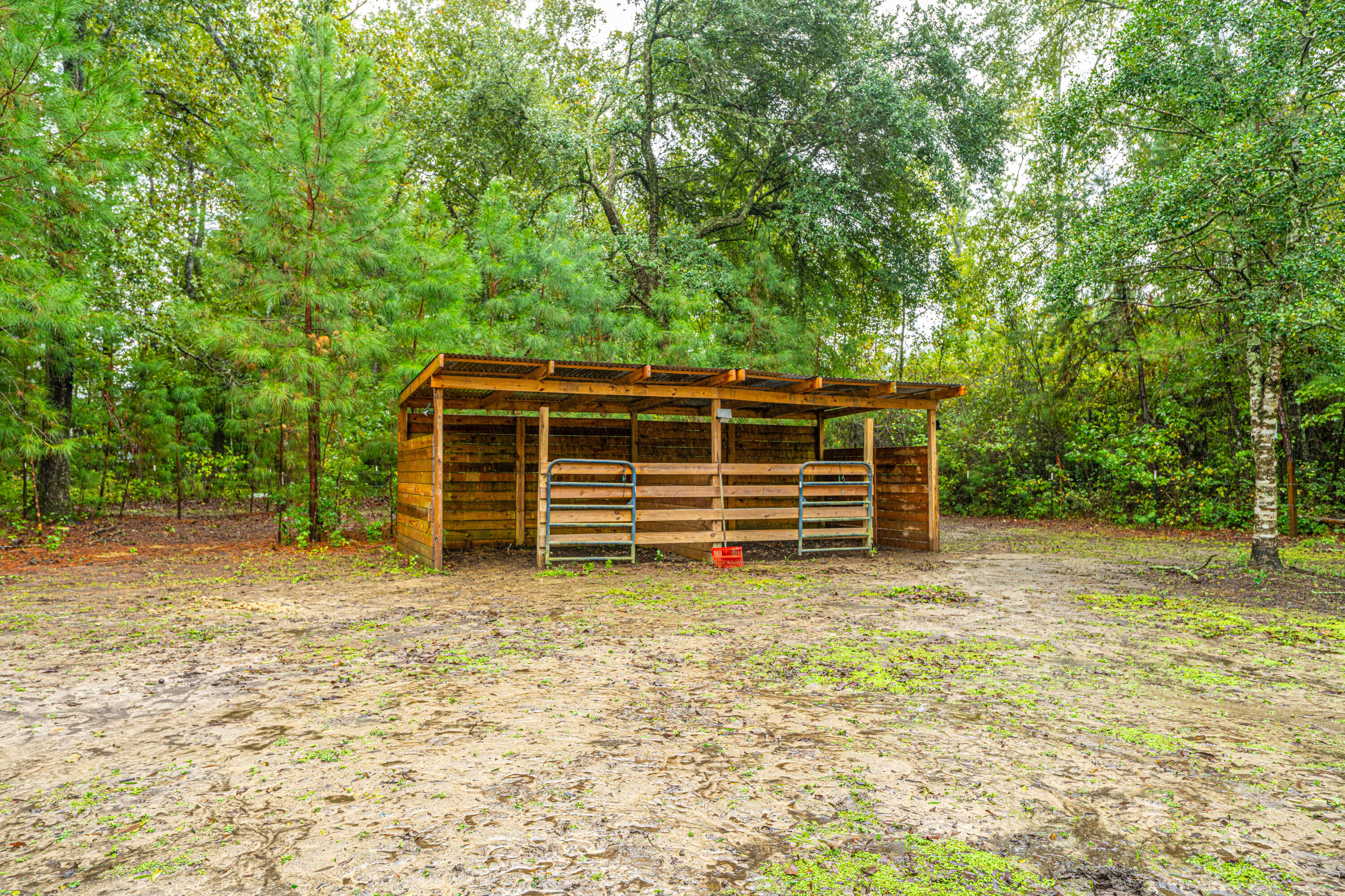1155 Highway 61 Ridgeville, SC 29472 - Photo 69 of 77
