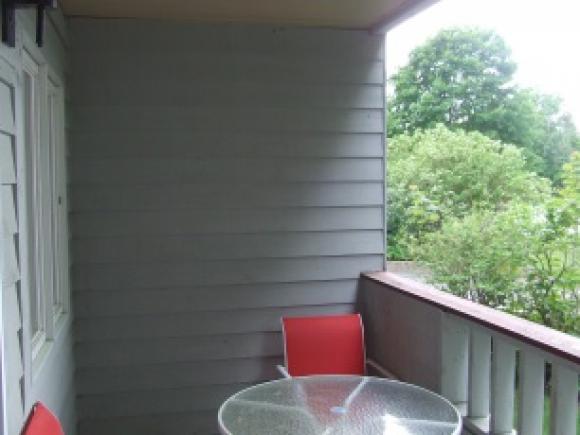 36 Lodge Road, Unit A103 Lincoln, NH 03251 - Photo 14 of 21 Gallery Image 14