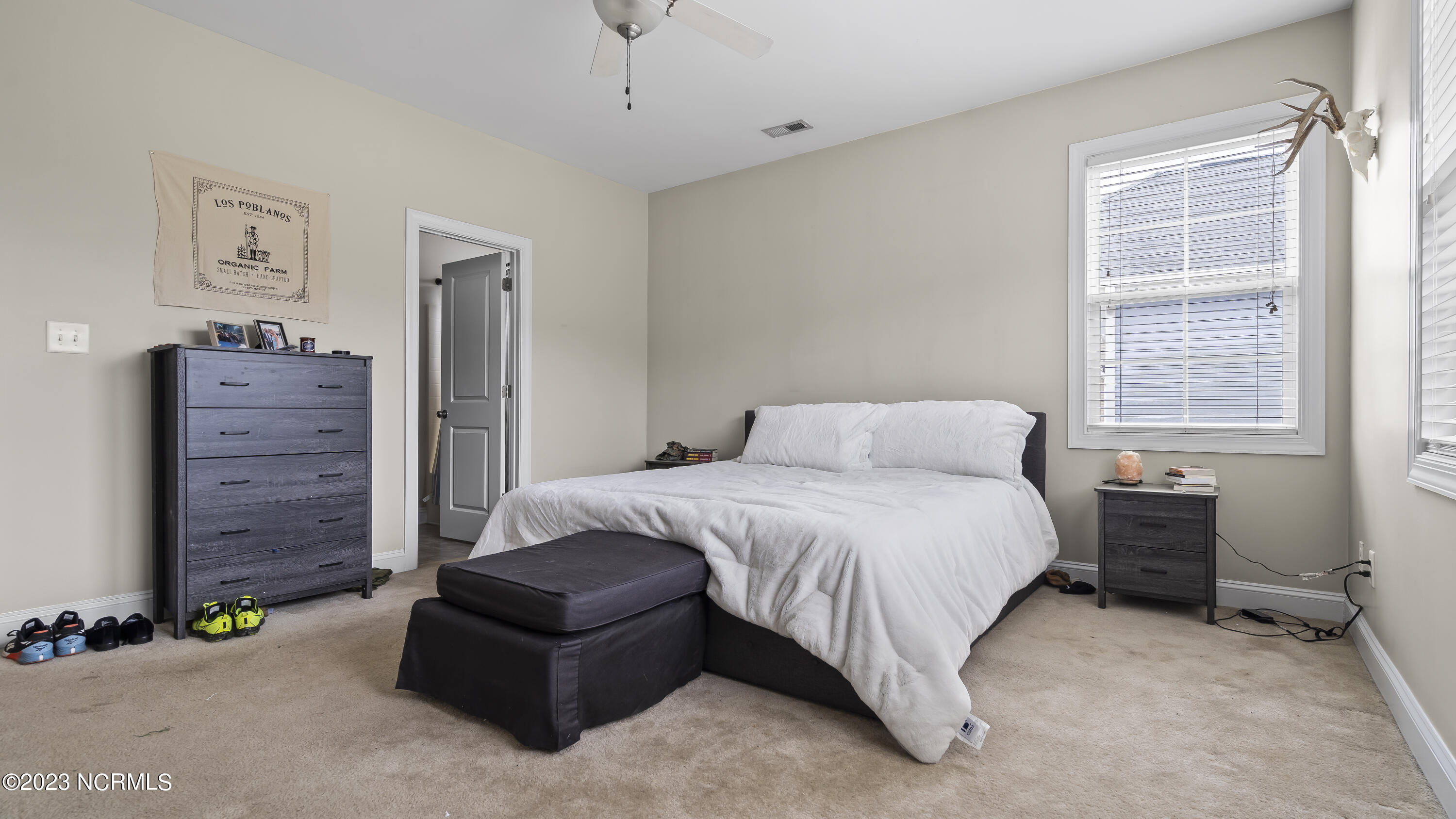 290 Southwest Plantation Drive Maple Hill, NC 28454 - Photo 14 of 24 14