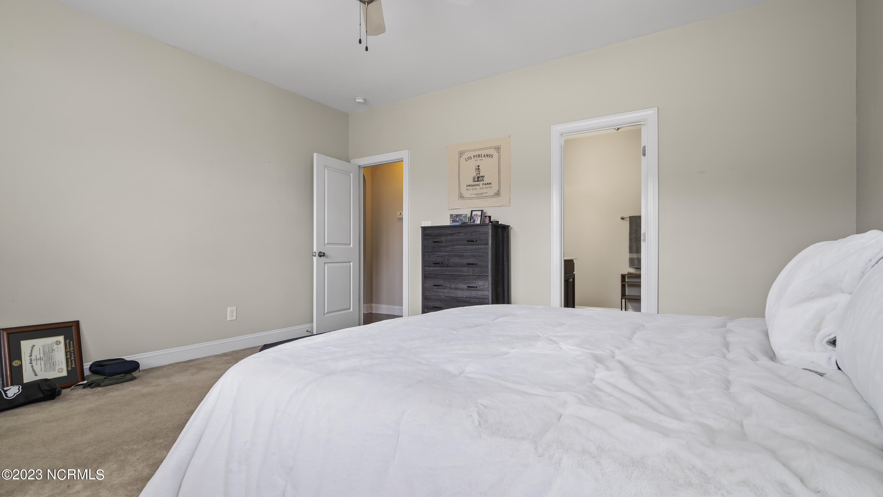 290 Southwest Plantation Drive Maple Hill, NC 28454 - Photo 15 of 24 15