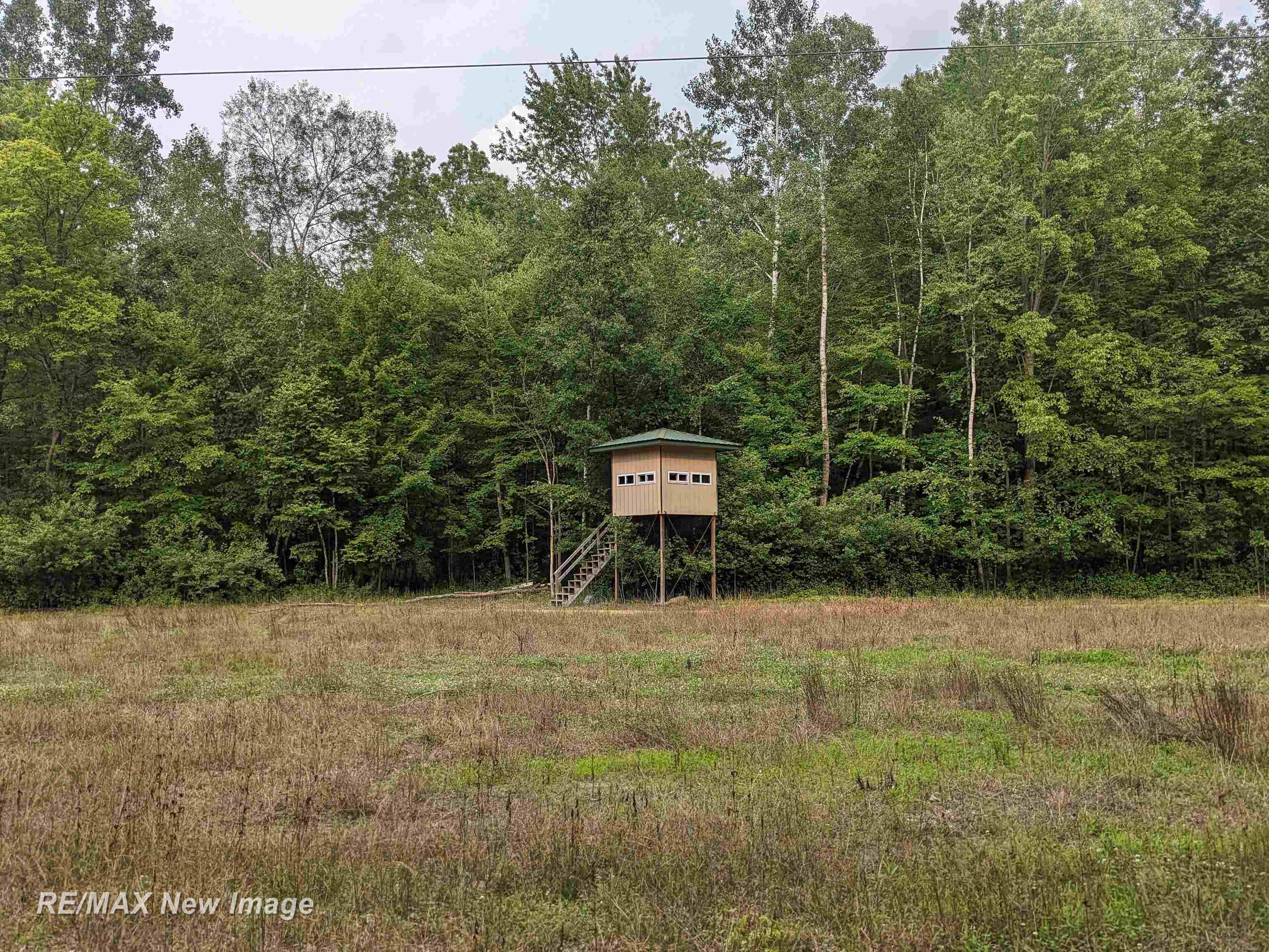 Vl Busch Road Birch Run, MI 48415 - Photo 11 of 34
