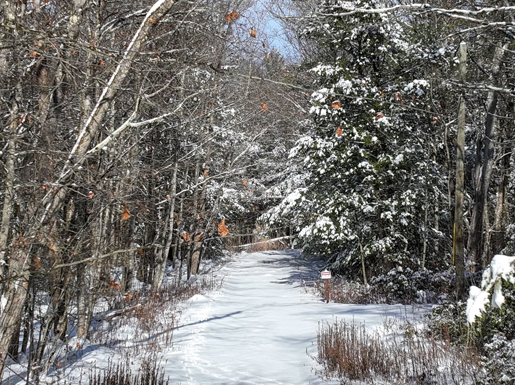 0 Island Acres Road Blandford, MA 01008 - Photo 5 of 11 a view of outdoor space