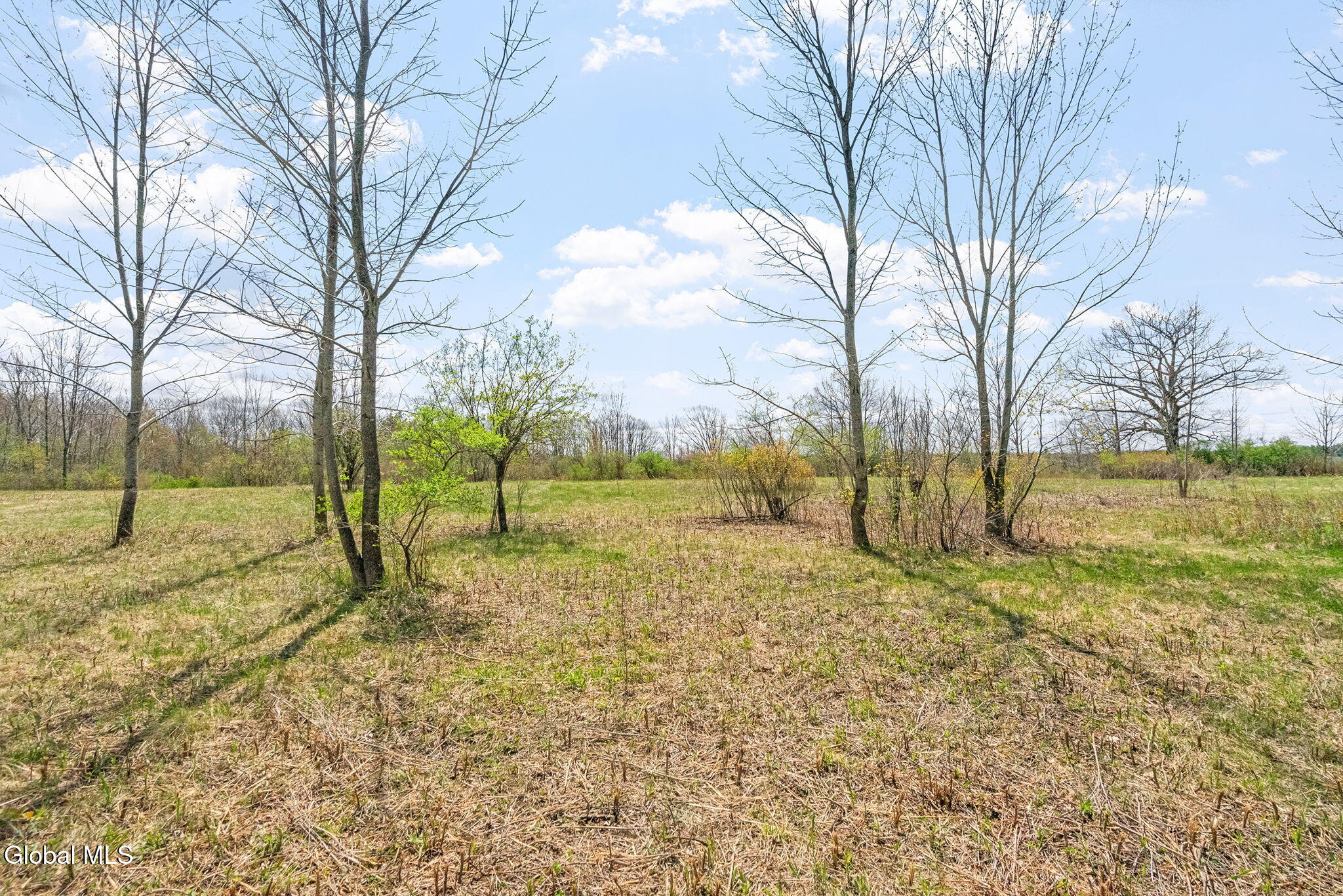 19-web-or-mls-salsburg-rd