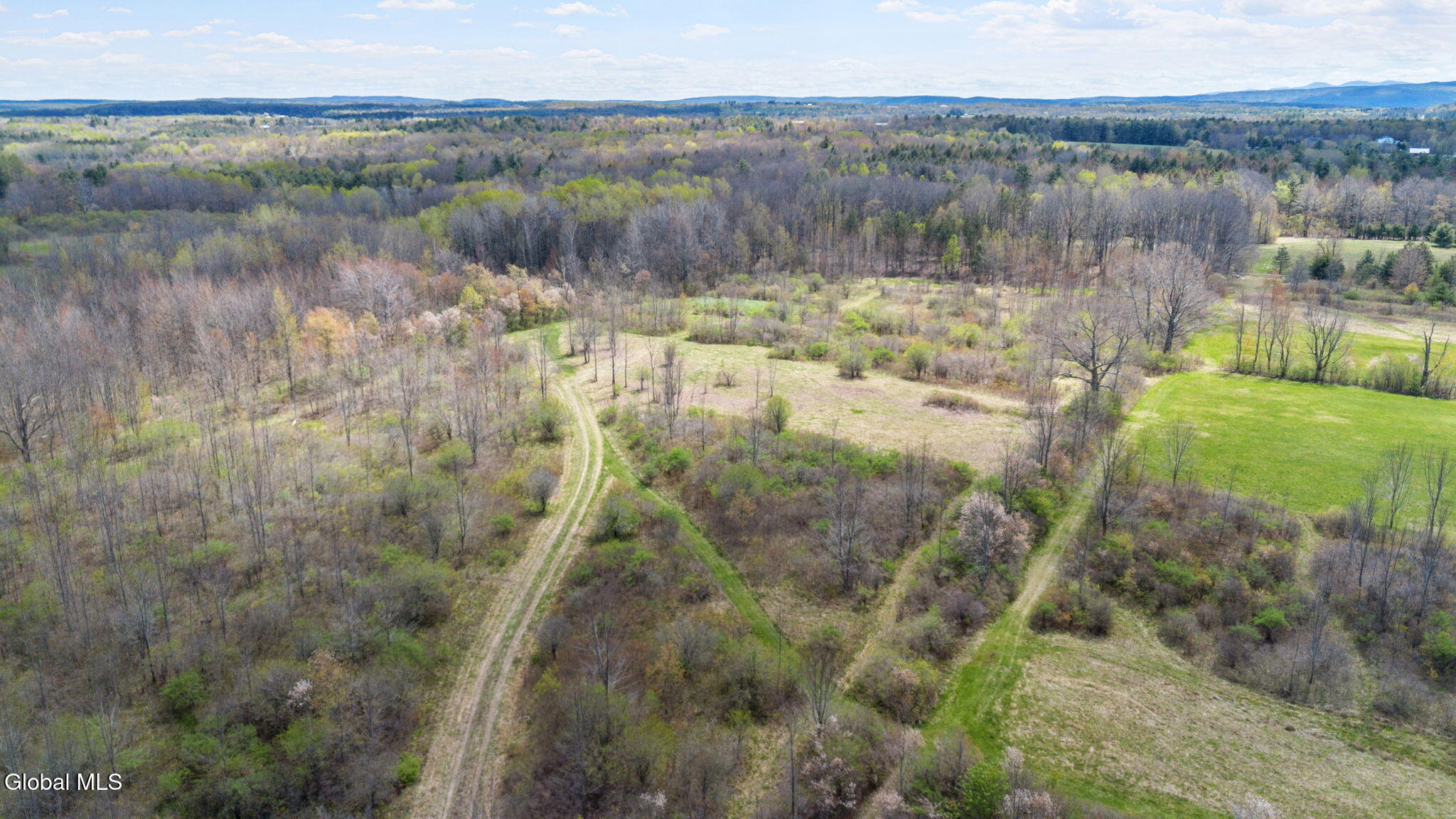 8.2 Salsburg Road Delanson, NY 12053 - Photo 13 of 19 overview
