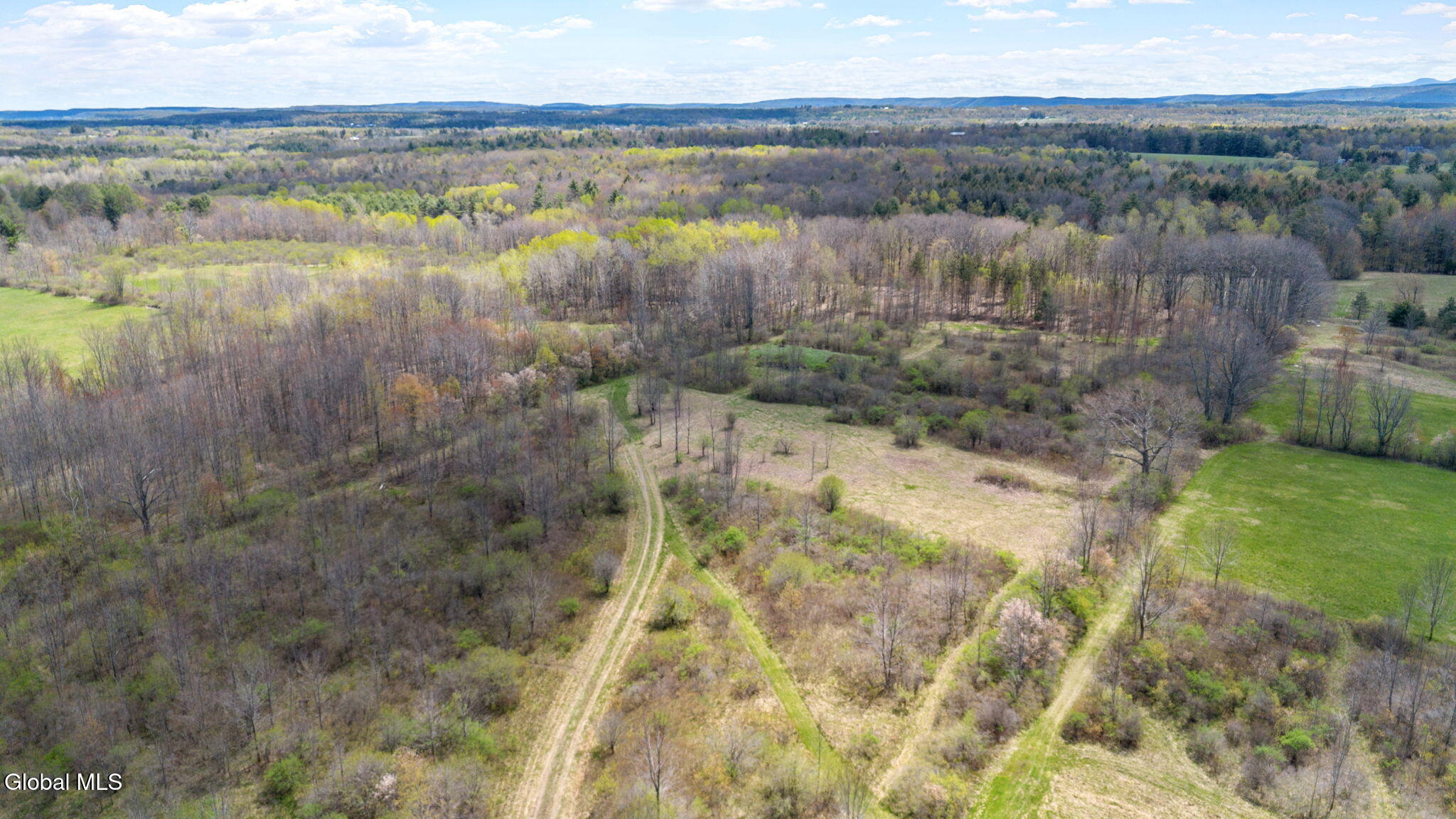 8.2 Salsburg Road Delanson, NY 12053 - Photo 15 of 19 7-web-or-mls-salsburg-rd