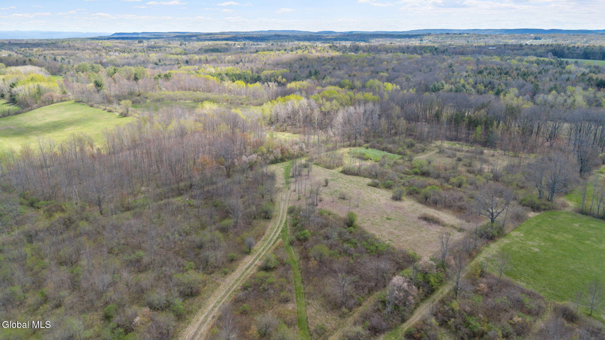 8.2 Salsburg Road Delanson, NY 12053 - Photo 16 of 19 9-web-or-mls-salsburg-rd