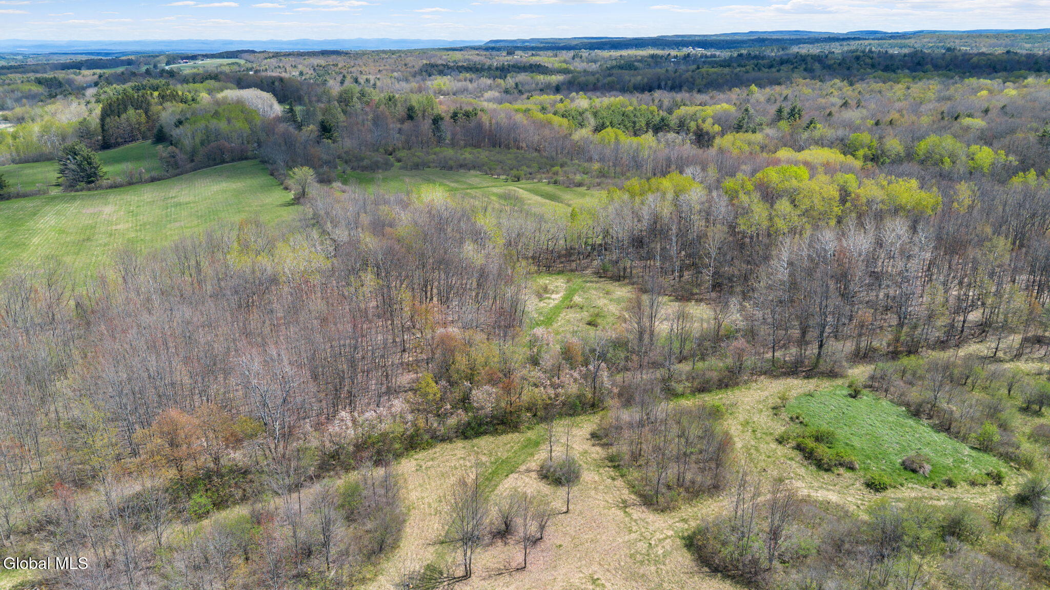 8.2 Salsburg Road Delanson, NY 12053 - Photo 17 of 19 12-web-or-mls-salsburg-rd