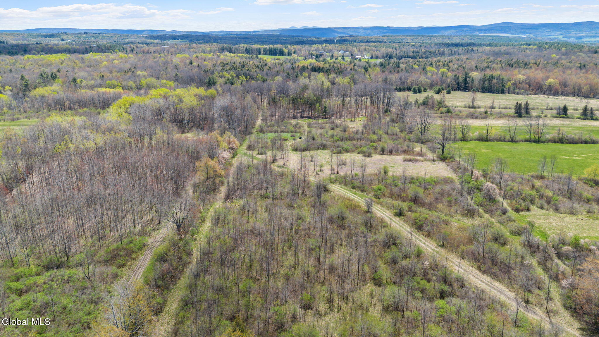 8.2 Salsburg Road Delanson, NY 12053 - Photo 3 of 19 oerview