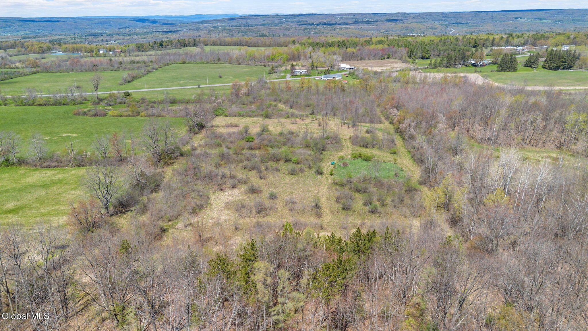 8.2 Salsburg Road Delanson, NY 12053 - Photo 4 of 19 overview