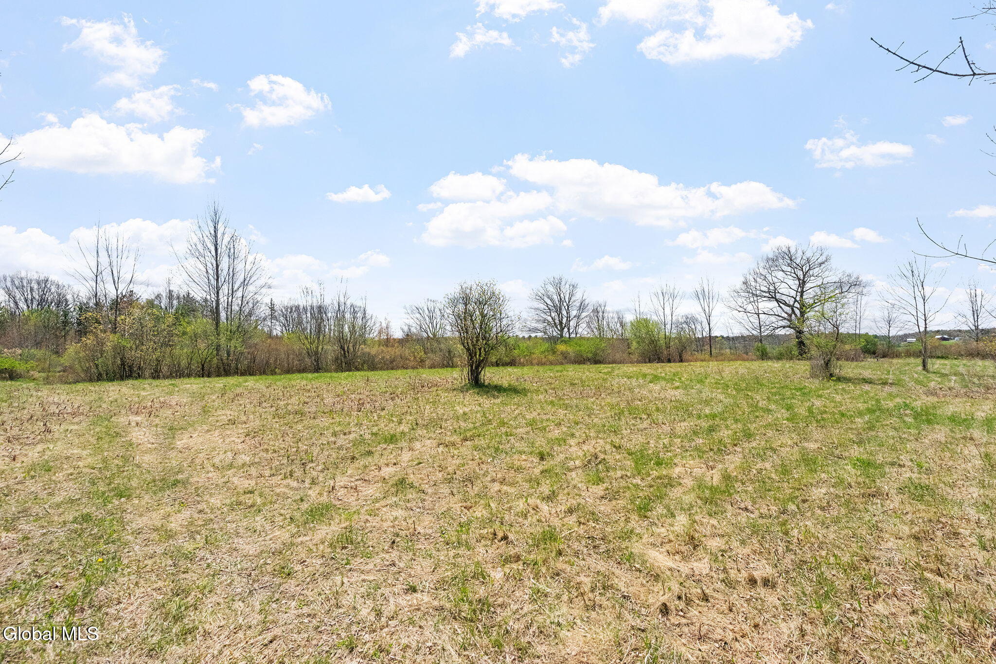 8.2 Salsburg Road Delanson, NY 12053 - Photo 5 of 19 Home site