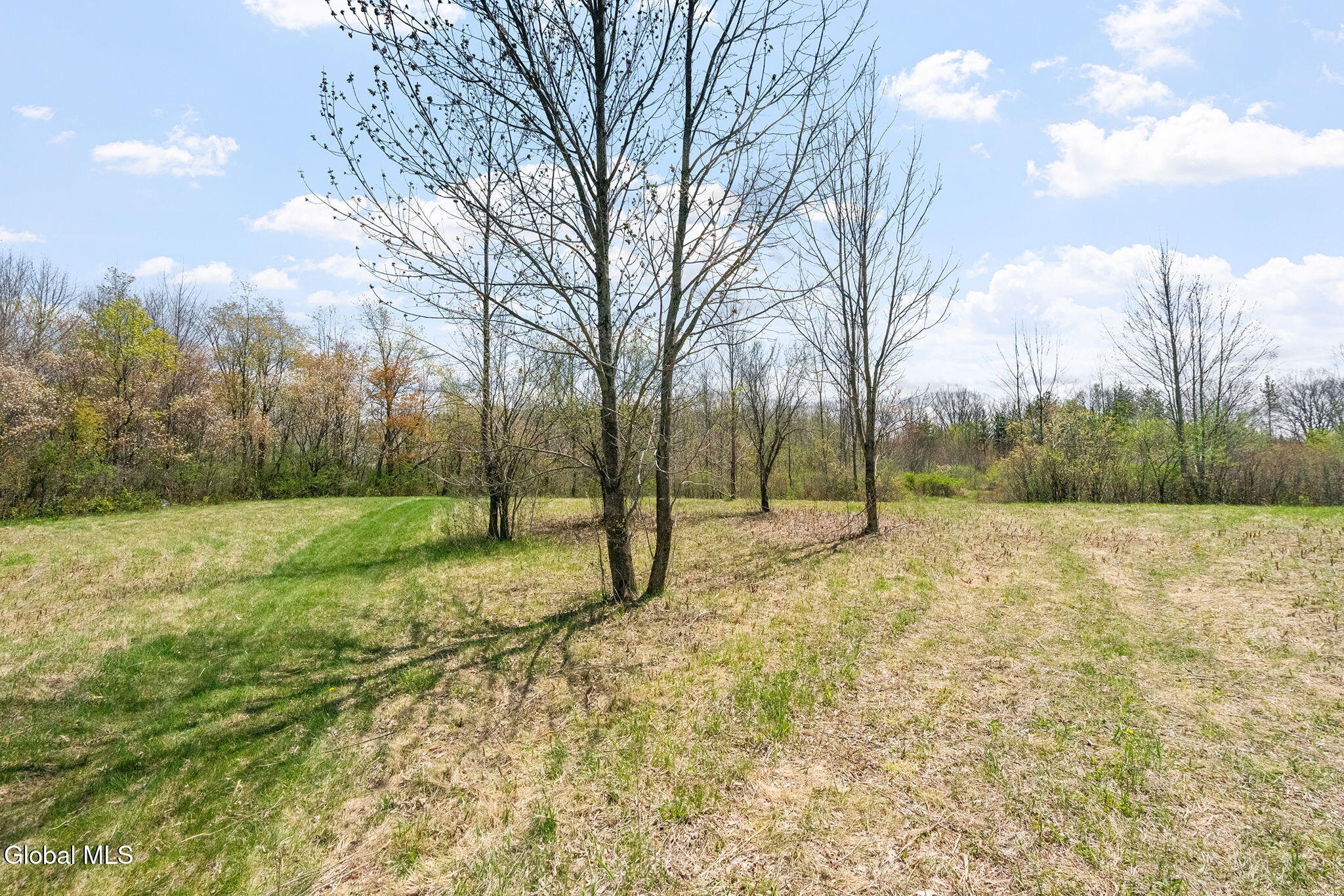 8.2 Salsburg Road Delanson, NY 12053 - Photo 6 of 19 home site