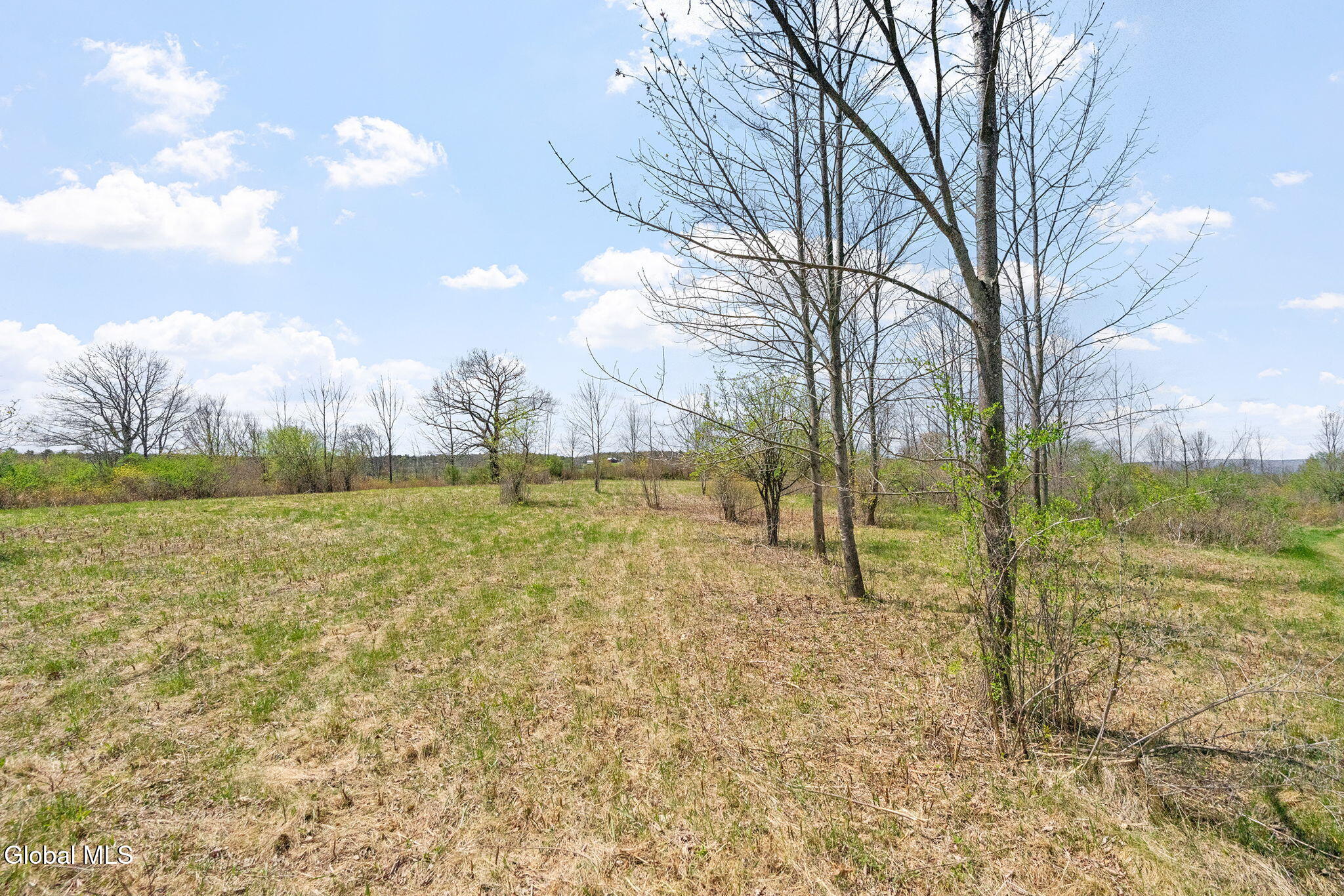 8.2 Salsburg Road Delanson, NY 12053 - Photo 7 of 19 Home site