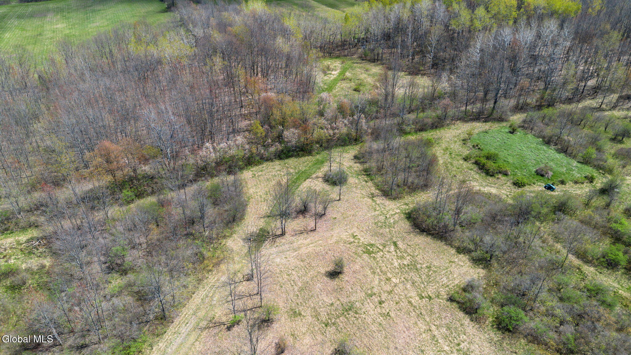 8.2 Salsburg Road Delanson, NY 12053 - Photo 8 of 19 overview of homesite