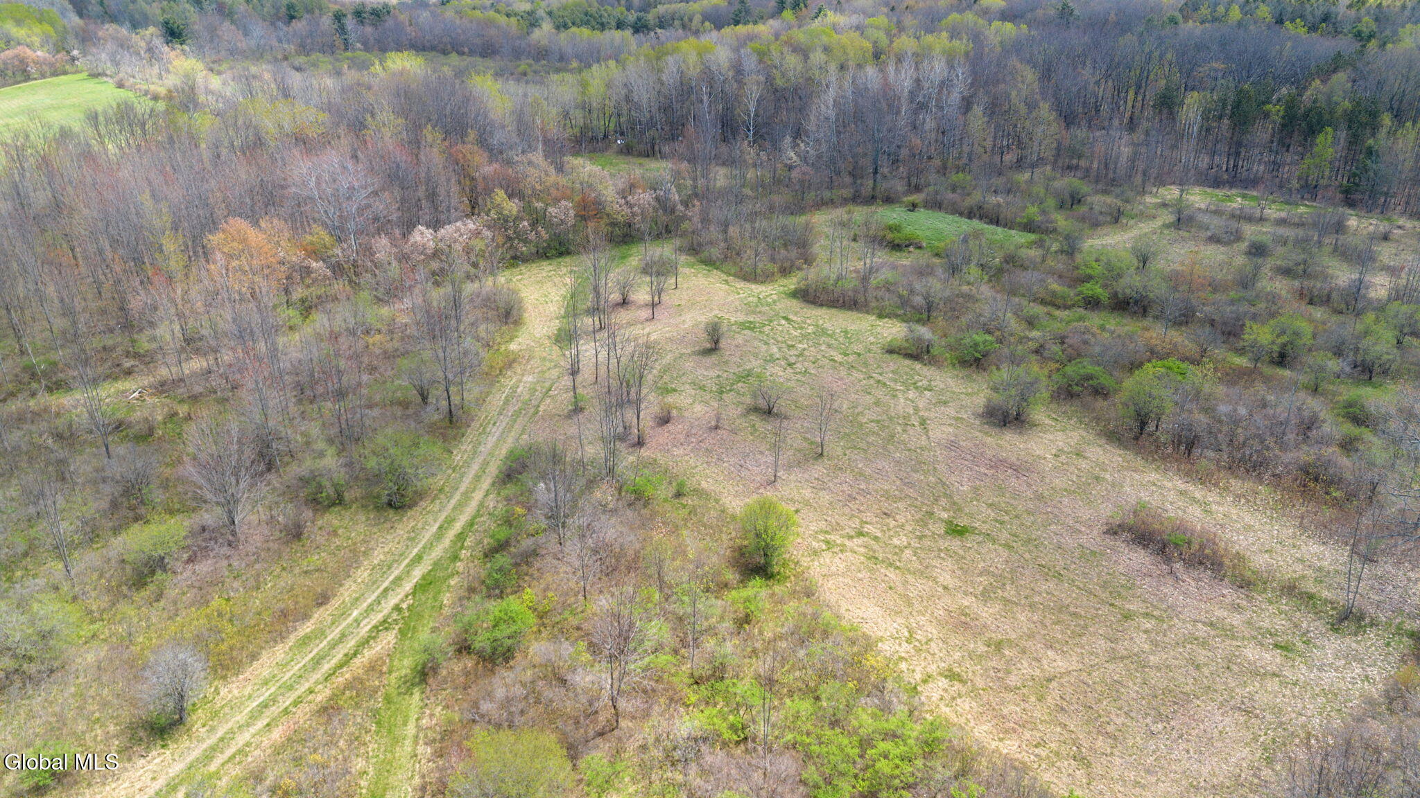 8.2 Salsburg Road Delanson, NY 12053 - Photo 9 of 19 overview of homesite