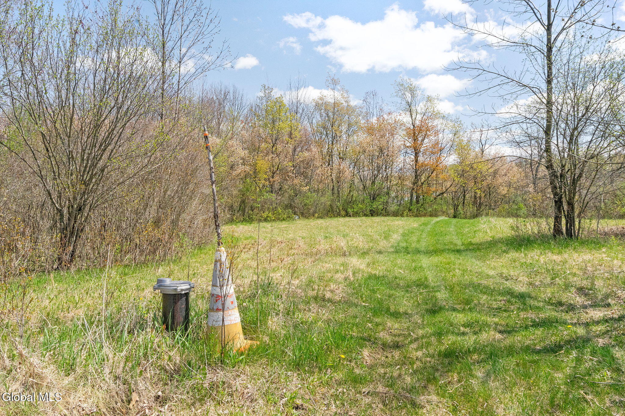 8.2 Salsburg Road Delanson, NY 12053 - Photo 10 of 19 well