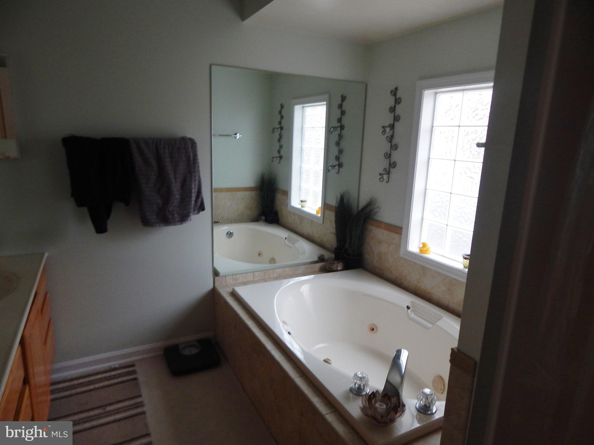12982 Soundings Road Lusby, MD 20657 - Photo 16 of 17 Bath (Master)